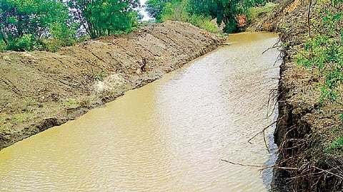 पहिल्याच पावसानंतर ओढ्यात मुबलक पाणीसाठा