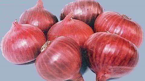 संग्रहित छायाचित्र.