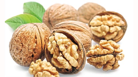 walnuts