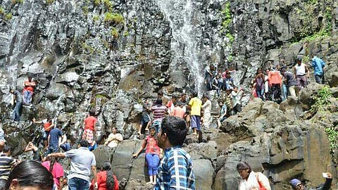 पर्यटकांना 'विकेंड सेलिब्रेशन' पडले महागात; आंबोलीत 50 जणांना दणका