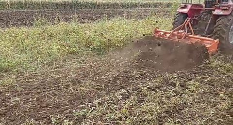 At Sangrampur, a farmer turned a tractor on a vertical crop of five acres.jpg