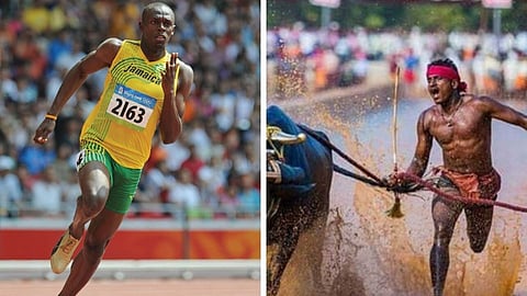 bull race jockey srinivasa gowda faster than usain bolt viral on social media