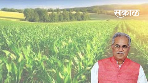 Chhattisgarh Chief Minister Bhupendra Baghel has said that the central government should repeal the new agricultural laws.jpg