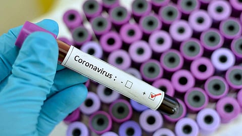 Coronavirus : राज्यात वाढतीये कोरोनाग्रस्त रुग्णांची संख्या; एकट्या पुण्यात...