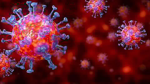 CoronaVirus