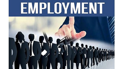 Akola News: Unemployed will get jobs; The doors of private companies are open