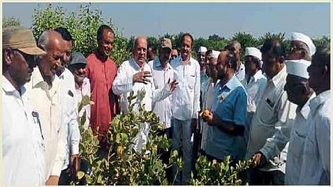 Experiment with the field and make progress