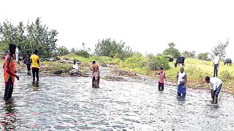 माशांचे गळ अन् खाणाऱ्यांची चंगळ.!