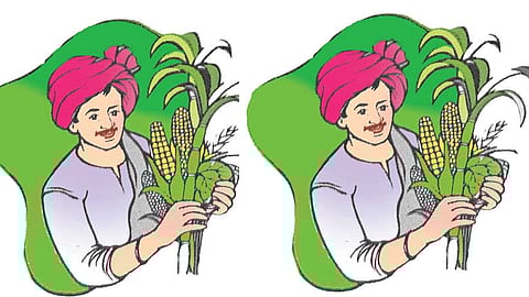Leader of Farmers Union Says On Announcement Of Loan Waiver Scheme