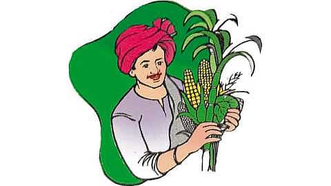 The farmers of Solapur district complain to the Collector