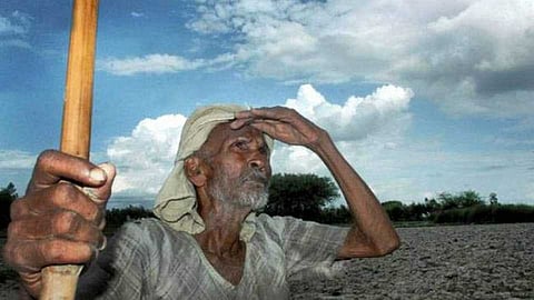 akola washim Lending traps around farmers' necks, allocating only 30 per cent crop loans; Double sowing adds to the crisis