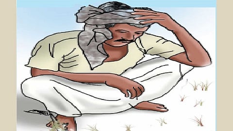 Farmers have found themselves in financial crisis due to the increased cost of spraying