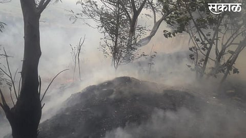 Forest Fire In Tuljapur