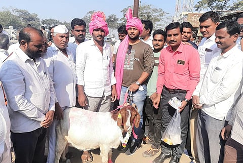 A goat sold for four wheelers in Nevasa!