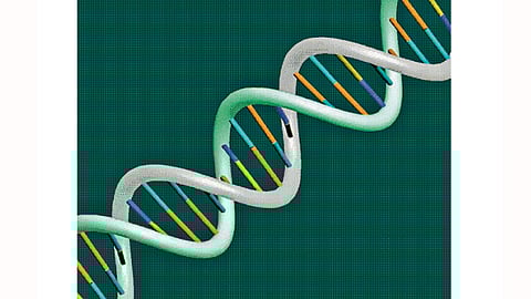 Genes