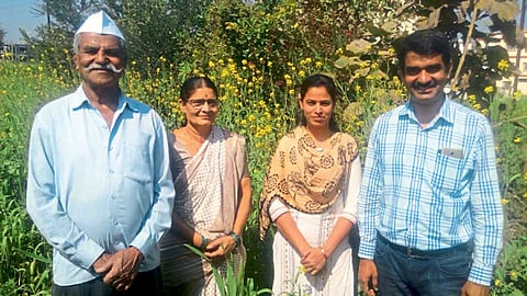 वंदन घुले यांना वडील पांडूरंग, आई शशिकला आणि पत्नी अॅड. सोनाली यांची खपली गहू शेतीमध्ये मदत होते.