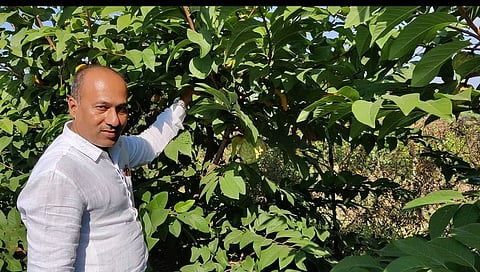 Hanumant Rajegore, an agricultural graduate from Shelgaon, has increased the area under custard apple.jpg