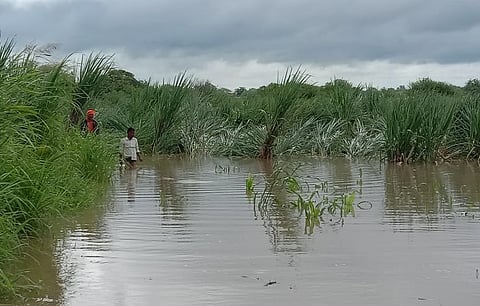 Heavy Rain Hit Nilanga Taluka