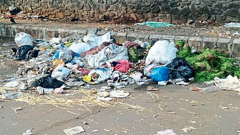 हिंजवडी आयटी पार्क - वाकड पूल ते विप्रो फेज दोन या रस्त्याच्या बाजूला पडलेला कचरा.