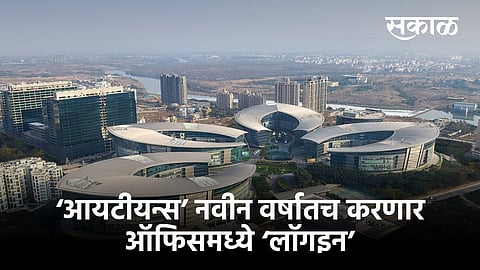 IT employees will to join office in New Year.jpeg