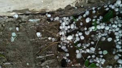 It has rained hailstorms in Bhadgaon area.jpg