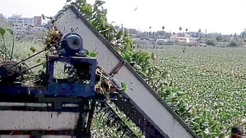 जलपर्णी काढणारे अत्याधुनिक मशिन.