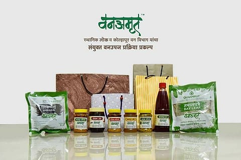 Forest Department Van Amrut project konkan Sindhudurg