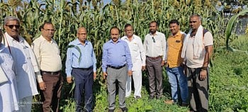 पढावद शिवारात पाचशे एकरवर होणार रेवती दादर प्रकल्प