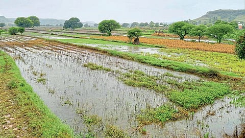 शेतक-यांचा टाहाे; मायबाप सरकार काही काही राहिले नाही बघा