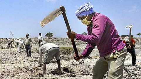 National Rural Employment Guarantee