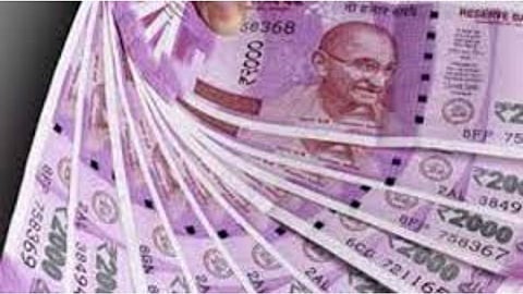 The villagers have taken an initiative and provided Rs four lakh for the cat family in Dusarbeed village :