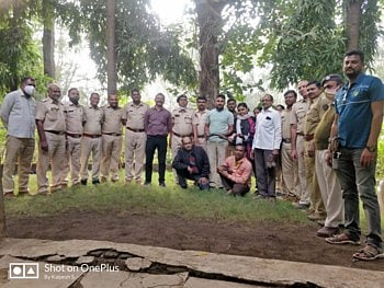 आंतरराज्य मांडूळ तस्करी करणारी टोळी नंदुरबार पोलिस, वनविभागाने पकडली