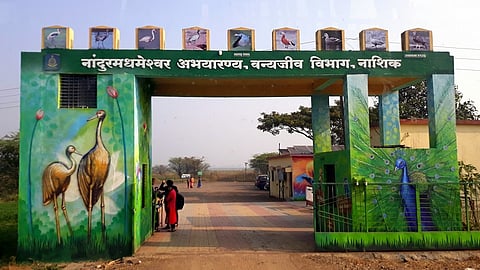Nandurmadheshwar Bird Sanctuary will be closed for tourists