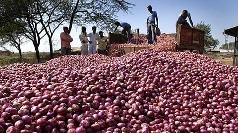 Onion-Maharashtra