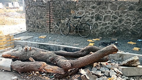 PNE19P01906.jpg