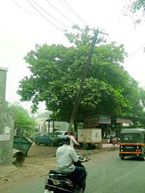 PNE19Q41533_pr 1.jpg