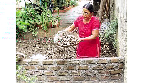 कचऱ्यातून फुलवली बाग