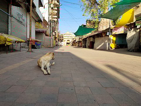 Hundred percent response to janta curfew in Pandharpur