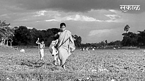 ‘पाथेर पांचाली’मधलं एक दृश्य.