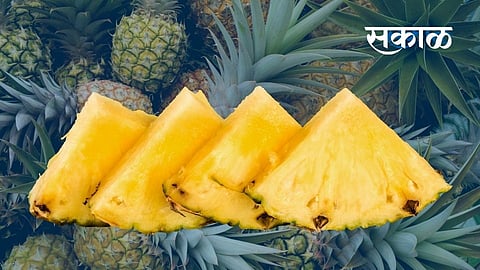 Pineapple