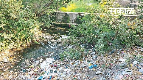 Satara Latest Marathi News Satara News