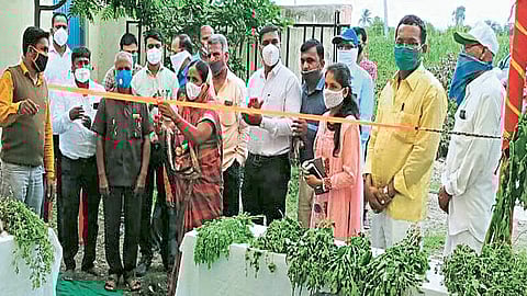 नैसर्गिक पद्धतीने उगवलेल्या रानभाज्या म्हणजे पावसाळ्यातली पर्वणीच : कांचनमाला निंबाळकर