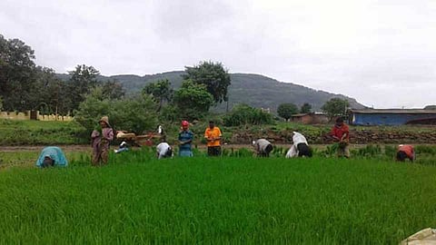 सरकार देणार शेतकऱ्यांना मोठा दिलासा; पाहा काय?