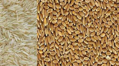 Rice-wheat