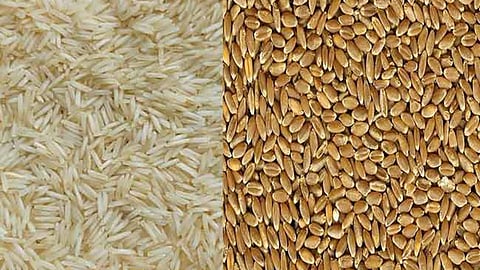 Rice-wheat