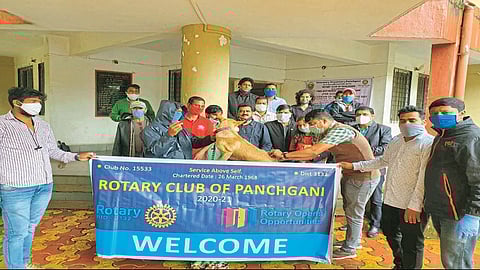 प्राणीप्रेमींनाे तुम्हीही हे नक्की करा; पाचगणीत रोटरी क्लबचा स्तुत्य उपक्रम