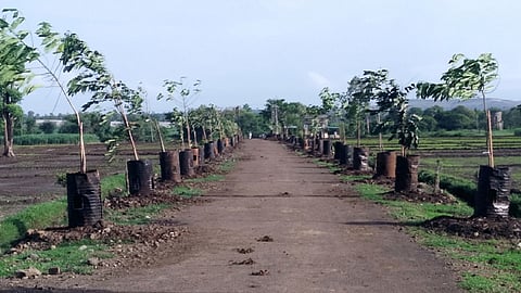 Siddhanerli changed the form of the cemetery