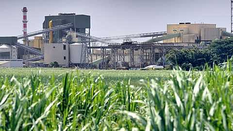 SUGAR_INDUSTRY