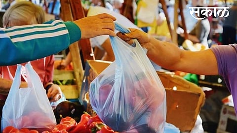 Government is ignoring Plastic banned in gadchiroli