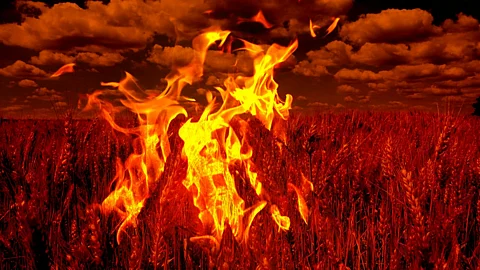 fire